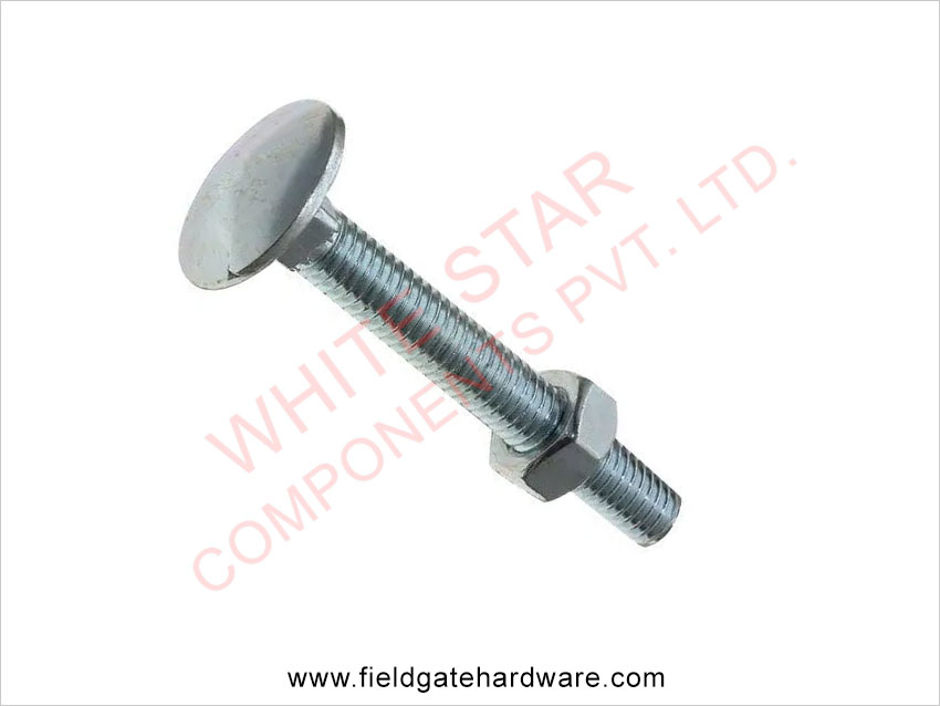 Carriage Bolts